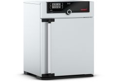 Memmert IF55 İnkübatör 53 L / +10 °C ~ +80 °C