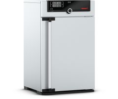 Memmert IF75 İnkübatör 74 L / +10 °C ~ +80 °C