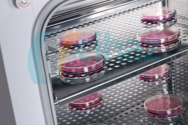 MMM Medcenter CO2CELL 190 - Comfort Co2 İnkübatör 190 Lt , 0,2 - 20 % CO2 , + 5 °C up to 50 °C