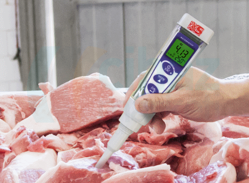 XS Instruments pH 5 Food Eco Pack Kalem Tip pH Metre -2.00~16.00 pH / 0.01 pH