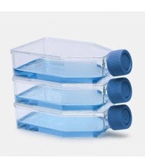 ISOLAB 120.11.025 şişe - hücre kültürü - geçirgen kapaklı - 25 cm2 - 7 ml