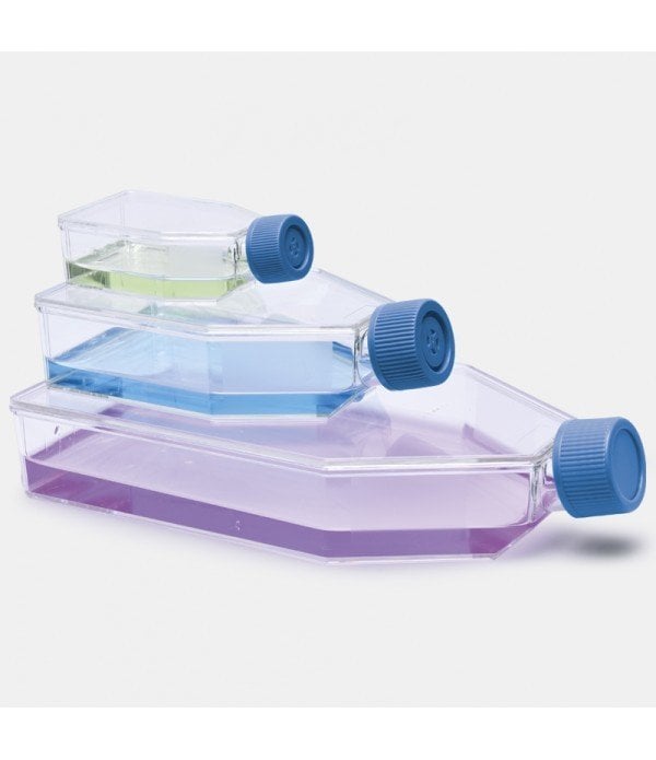 ISOLAB 120.11.175 şişe - hücre kültürü - geçirgen kapaklı - 175 cm2 - 50 ml