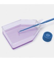 ISOLAB 120.12.075 şişe - hücre kültürü - kapalı kapaklı - 75 cm2 - 25 ml