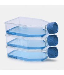 ISOLAB 120.12.075 şişe - hücre kültürü - kapalı kapaklı - 75 cm2 - 25 ml
